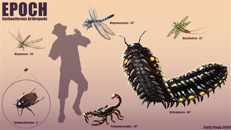 carboniferous insect size