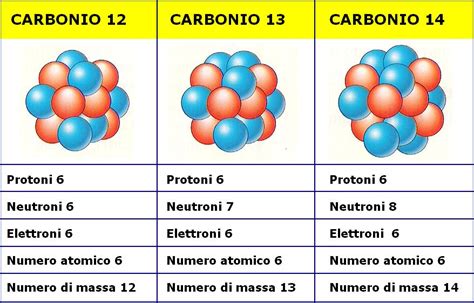 carbonio 12 e 14