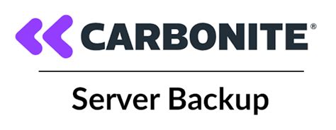 carbonite system state backup