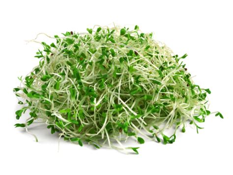 carbs in alfalfa sprouts