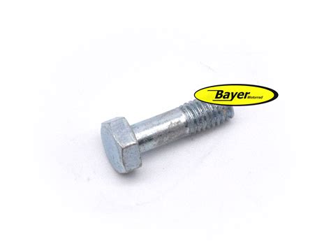 Carburetor Cap Screw