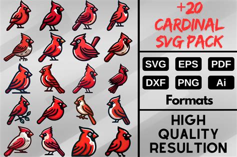 Download cardinal-11 SVG