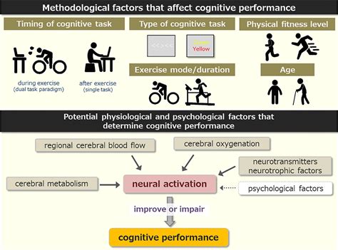 cardio exercise improves cognitive function by