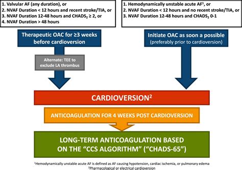Cardioversion for Afib: A Safe and Effective Treatment Option