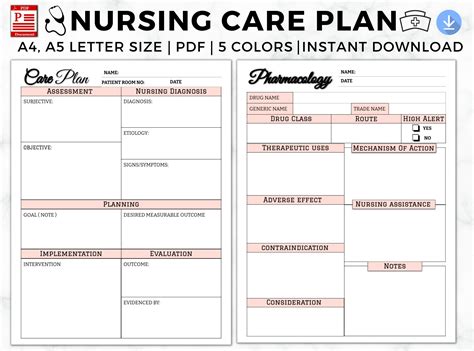 What is Care Plan Means