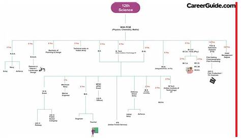 Career Option After 12th Science Pcm s 10 + 2 ( ) What To Do