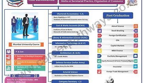 Career Option In Commerce Field 7 Rewarding s With A Degree