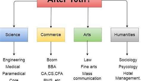Career Options After 10th (Arts, Science, Commerce, Maths