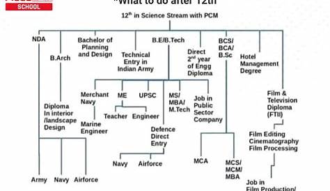 Career Options After 12th Non Medical Except Engineering guidepassstudentsciencepcmflowchart
