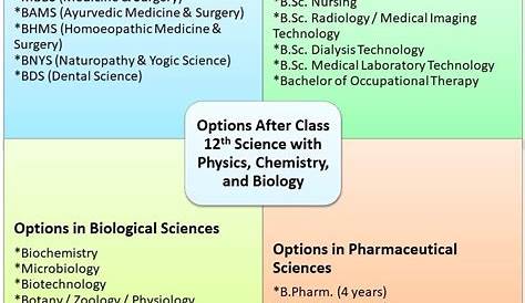 Career Options After 12th Science Pcb Group Which Is The Best Option For Girls In