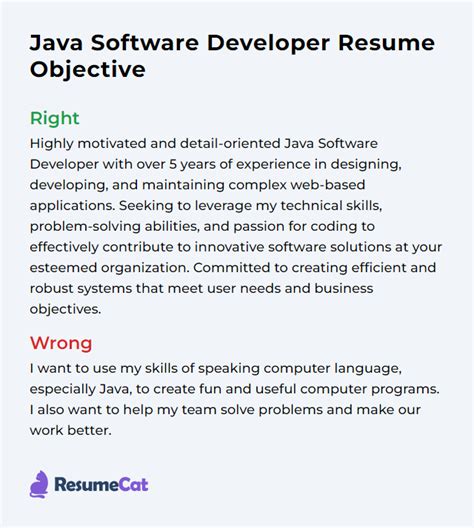 career objective for software developer example