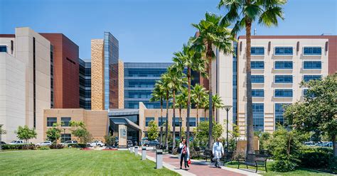 Explore Endless Possibilities: Careers at UCI That Shape Your Future