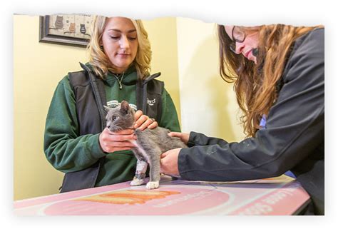 Unlock Endless Opportunities: Exploring Careers in Athens, Ohio