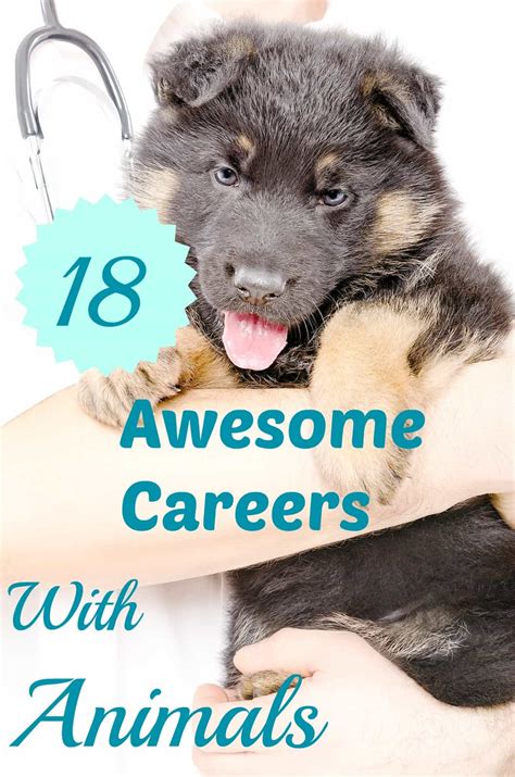 Pursue Fulfilling Careers with Animals: Explore Exciting Opportunities Today