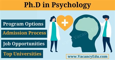 careers with phd in psychology