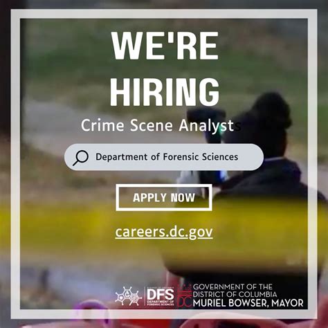 Explore Careers at careers.dc.gov: Your Path to Success