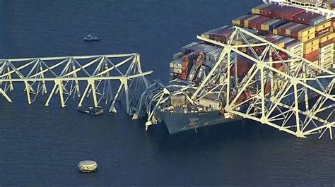 cargo ship hits bridge in baltimore news