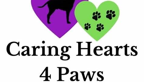 Caring Hearts 4 Paws – Giving dogs a chance for a loving home.