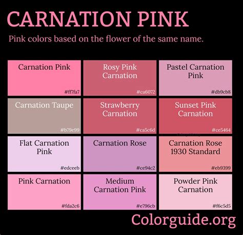 Ultimate Guide to Carnation Pink Trend