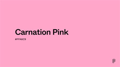 Discover the Unique Charm of Carnation Pink Colour: A Trendy Fashion Hue