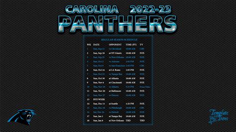 carolina panthers 2022 season record