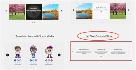 Carousel Slider With Text Wordpress Plugin