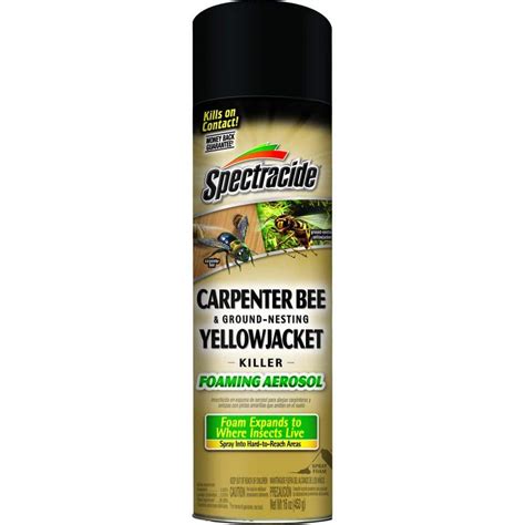 Carpenter Bee Sprays, Bait & Trap Products Fast, Free Shipping