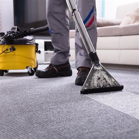 Carpet Cleaning Insurance: Protecting Your Business And Clients