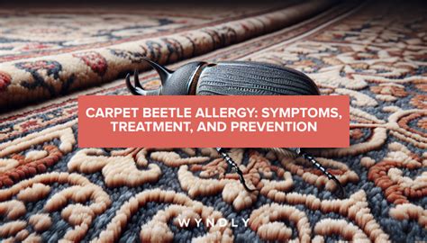 Carpet Beetle Allergy