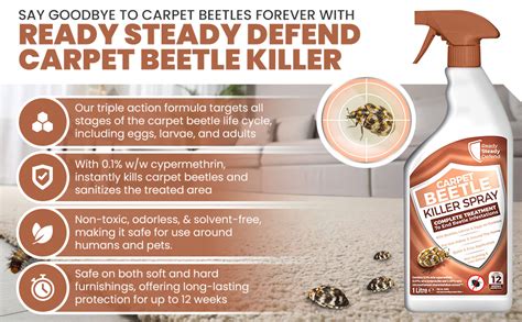 Carpet Beetle Kill