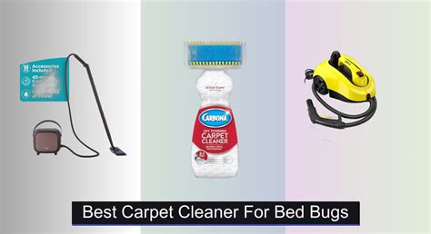 Carpet Cleaner Bed Bugs