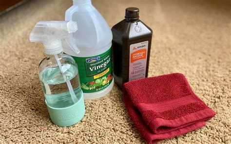rdsblog.info:carpet cleaner recipe with ammonia