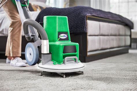 carpet cleaning cary