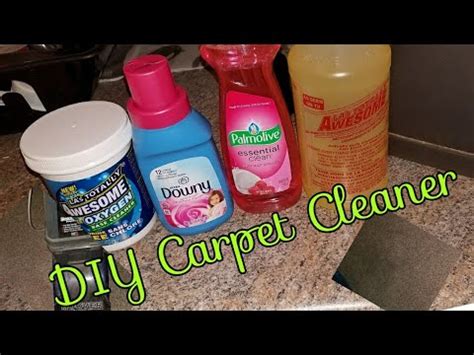 Carpet Cleaning Dollar Tree