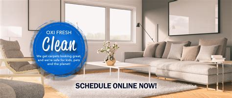 Carpet Cleaning Eagan Mn