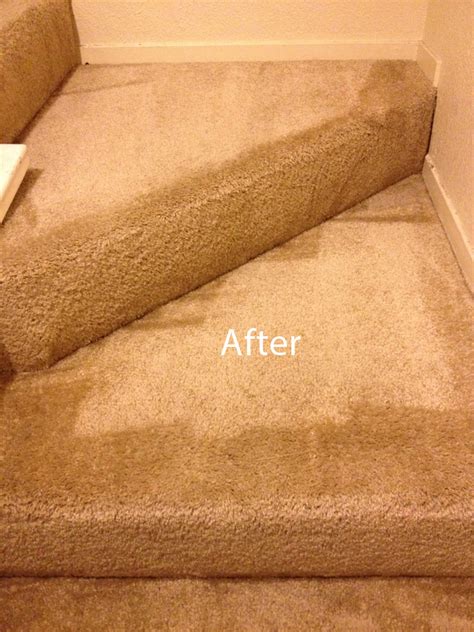 carpet cleaning mountain view
