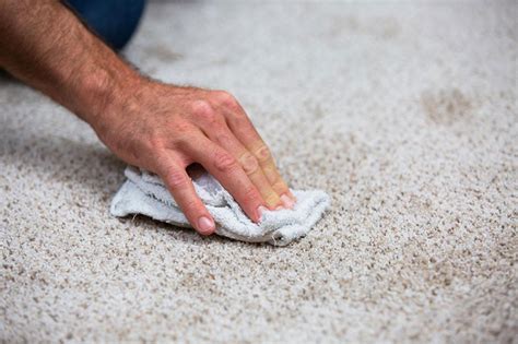 carpet cleaning over hardwood floors