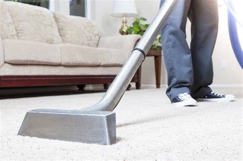 carpet cleaning rokeby
