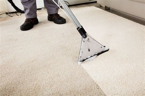elyricsy.biz:carpet cleaning services charleston sc