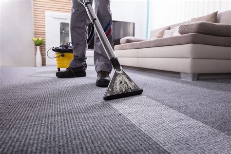 Carpet Cleaning Services Description