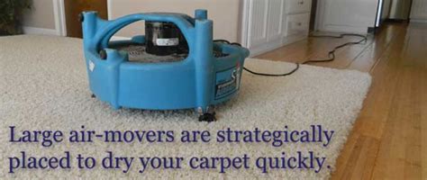 carpet cleaning services placerville ca