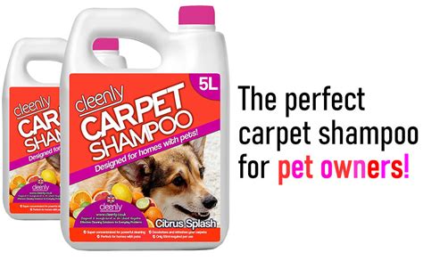 Carpet Cleaning Solution Safe For Pets