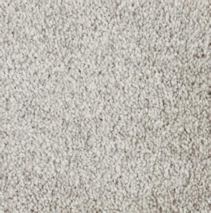 Carpet Delray Beach Florida