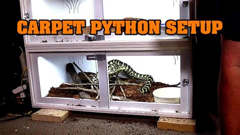 Carpet Python Cage Size
