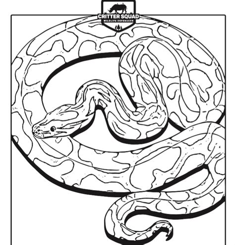 vyazma.info:carpet python coloring pages
