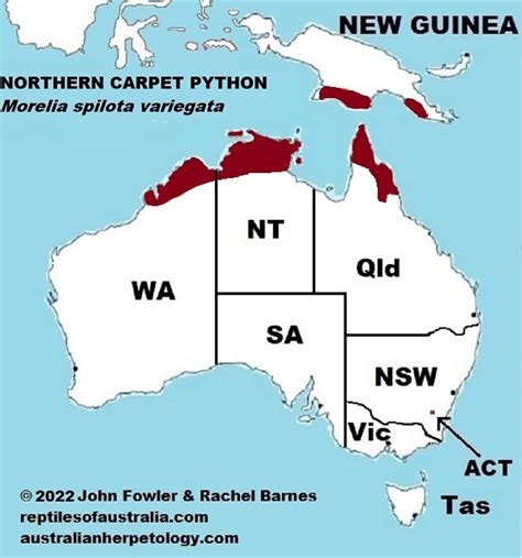 Carpet Python Location