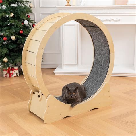 Carpet Runner For Cats