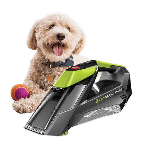 carpet scrubber for pet stains