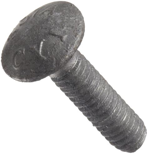 Carriage Bolt Oval