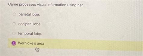 carrie processes visual information using her